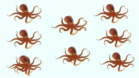 Octordle: An Octo-Tastic Brain Teaser That Will Leave You Octopused!